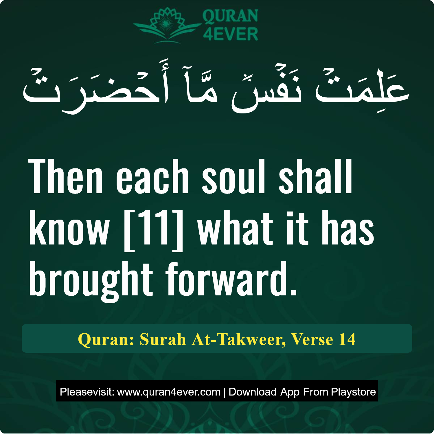 Surah 81, Ayah 14 - Quran Image