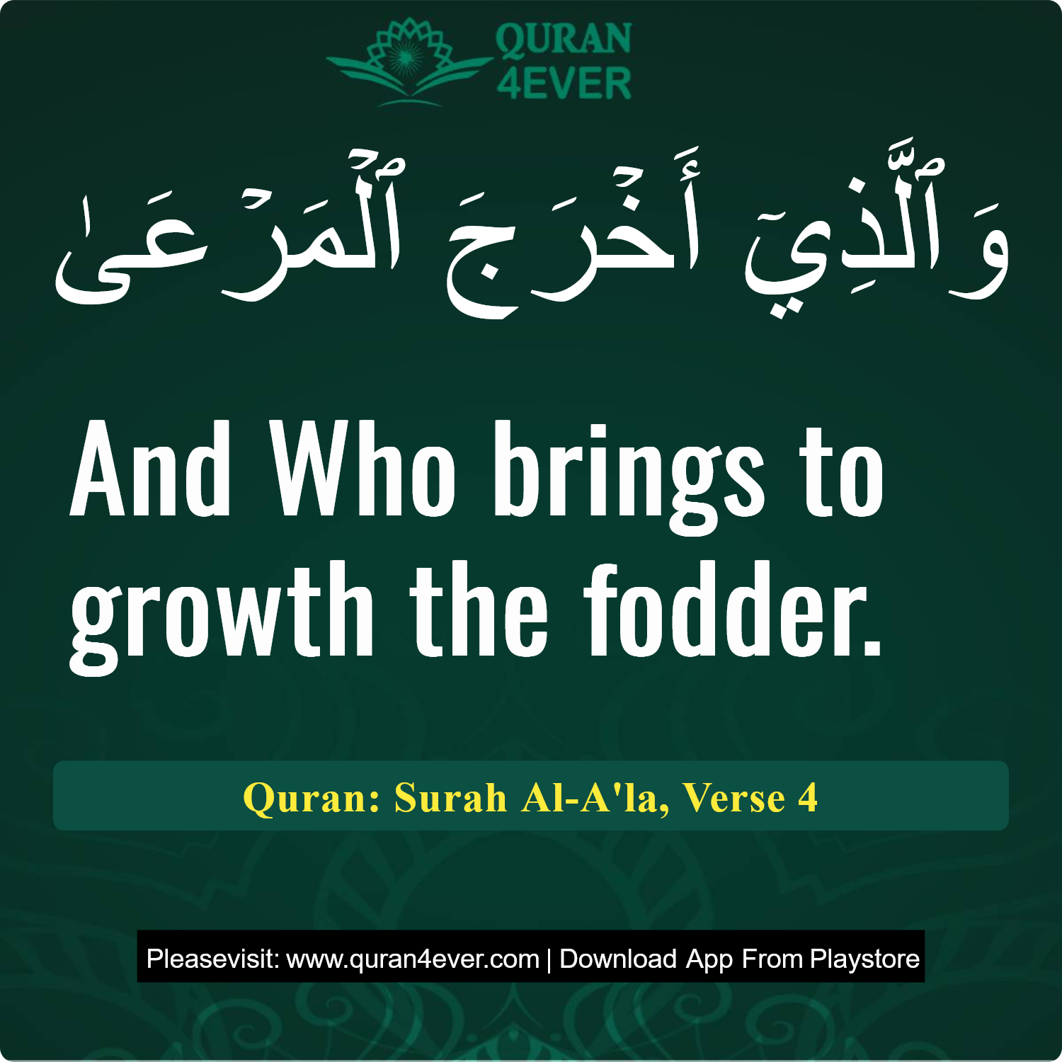 Surah 87, Ayah 4 - Quran Image