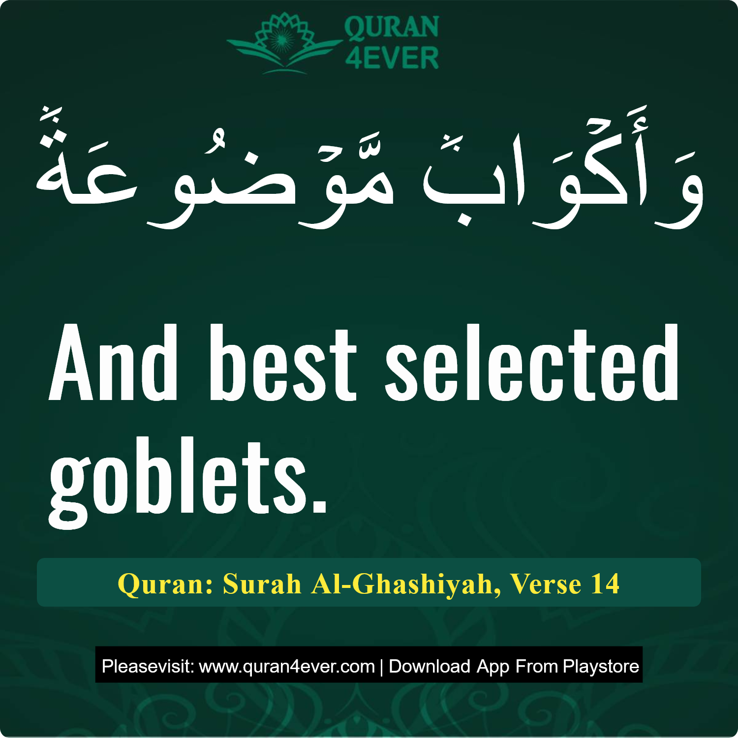 Surah 88, Ayah 14 - Quran Image