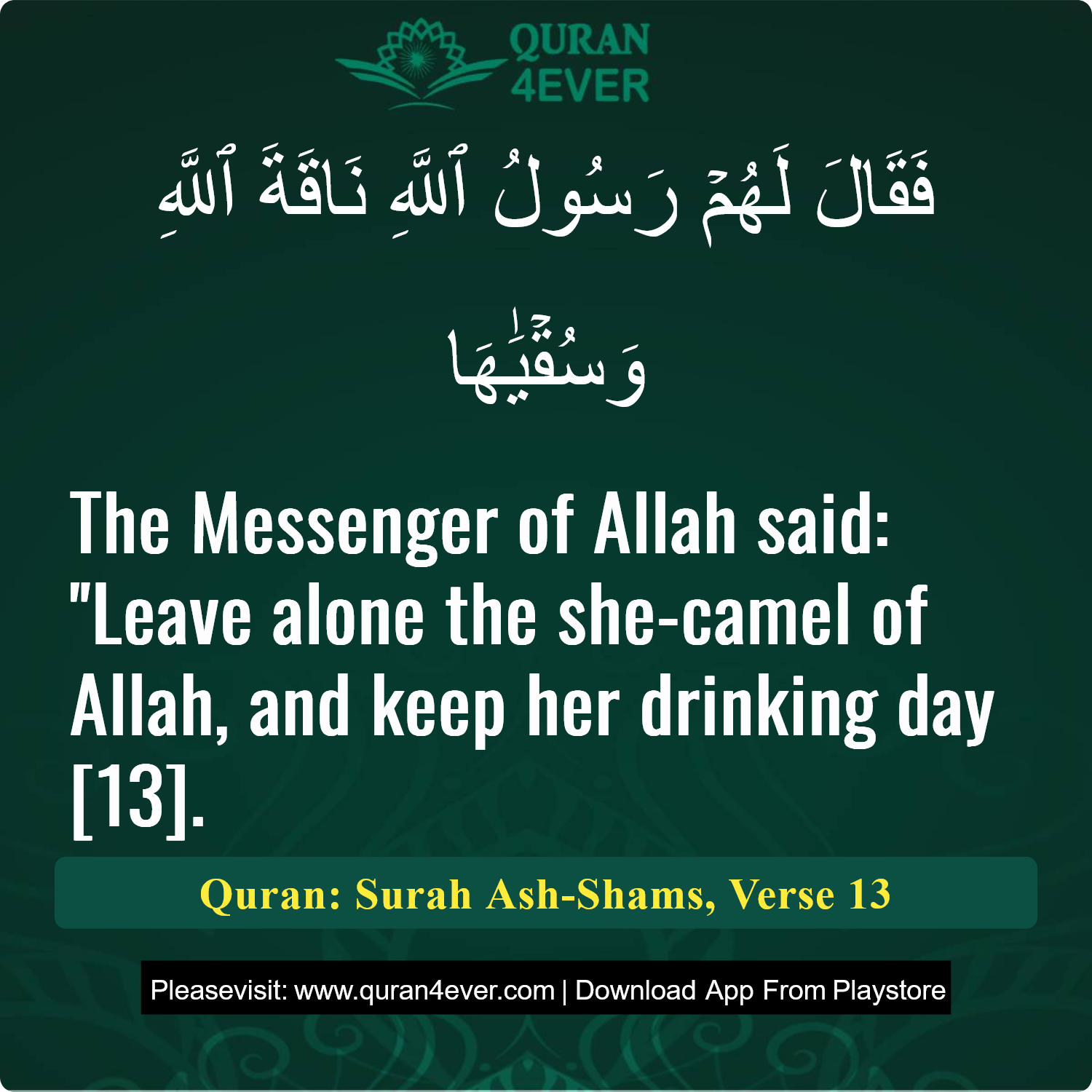 Surah 91, Ayah 13 - Quran Image