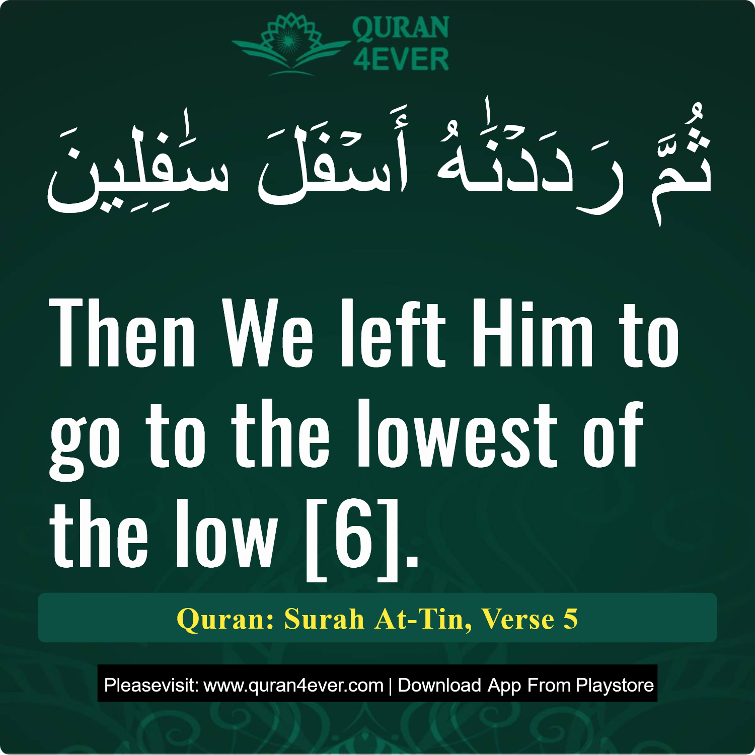 Surah 95, Ayah 5 - Quran Image