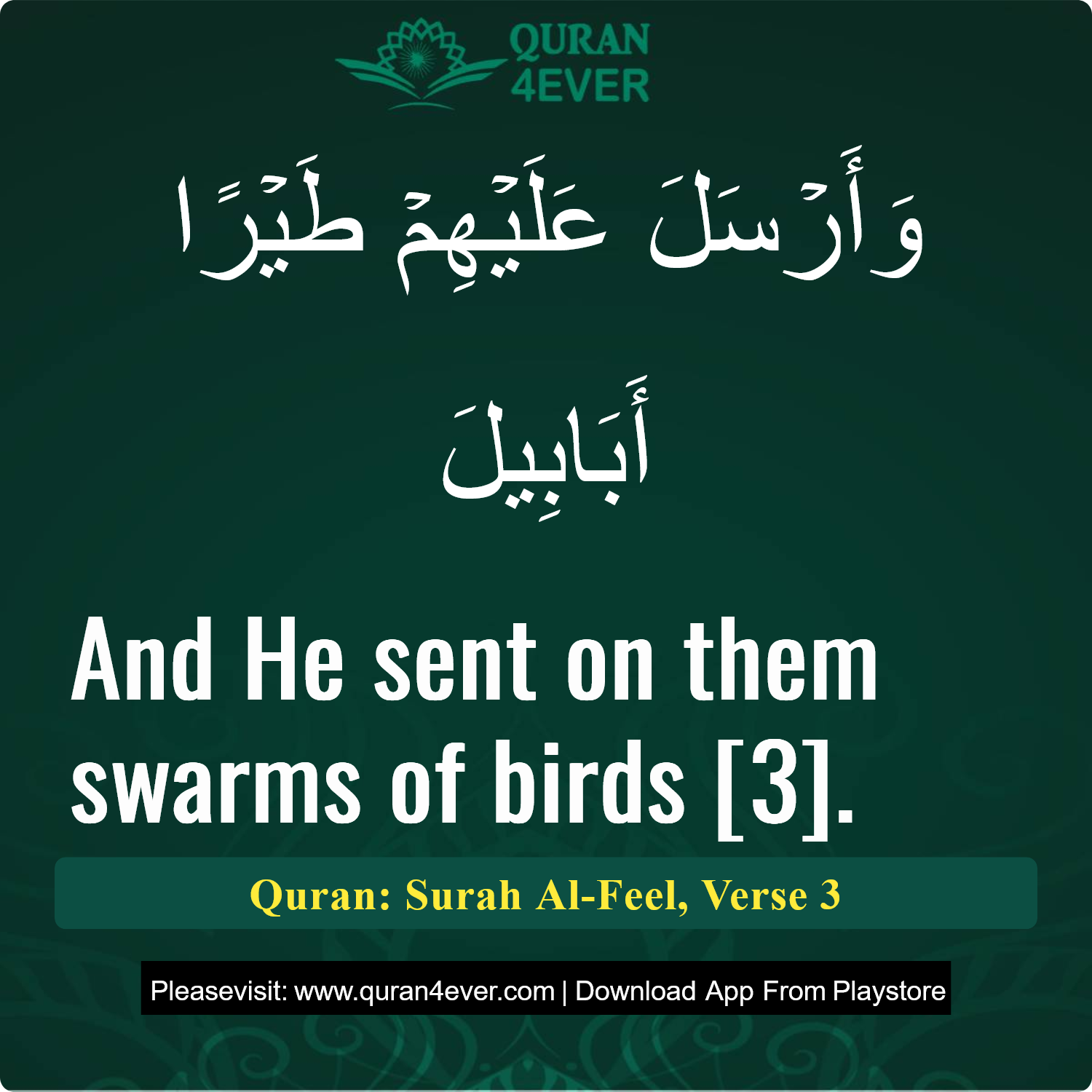 Surah 105, Ayah 3 - Quran Image