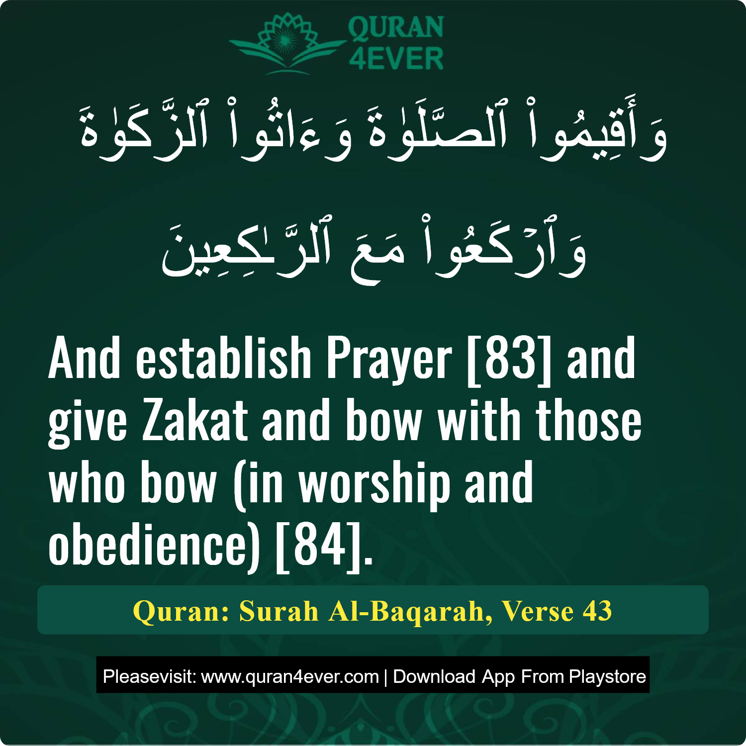 Surah 2, Ayah 43 - Quran Image