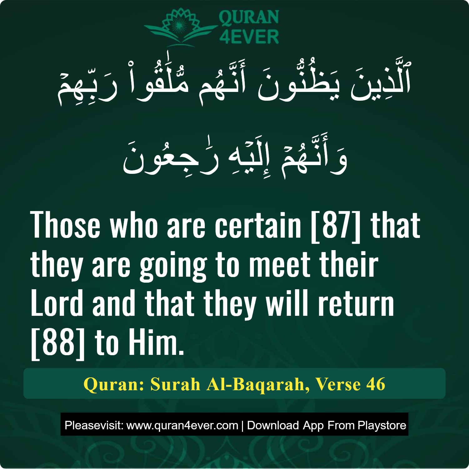 Surah 2, Ayah 46 - Quran Image