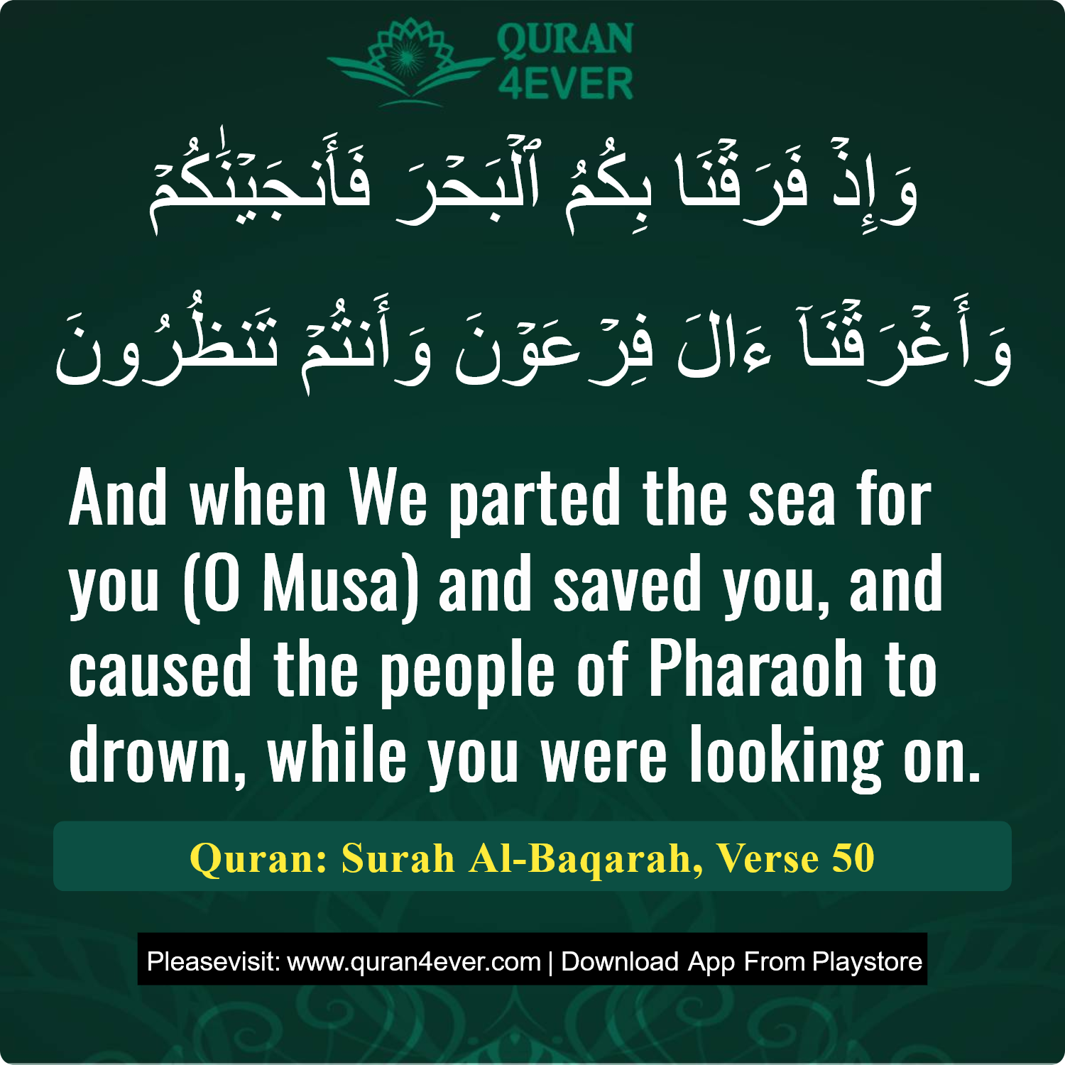 Surah 2, Ayah 50 - Quran Image