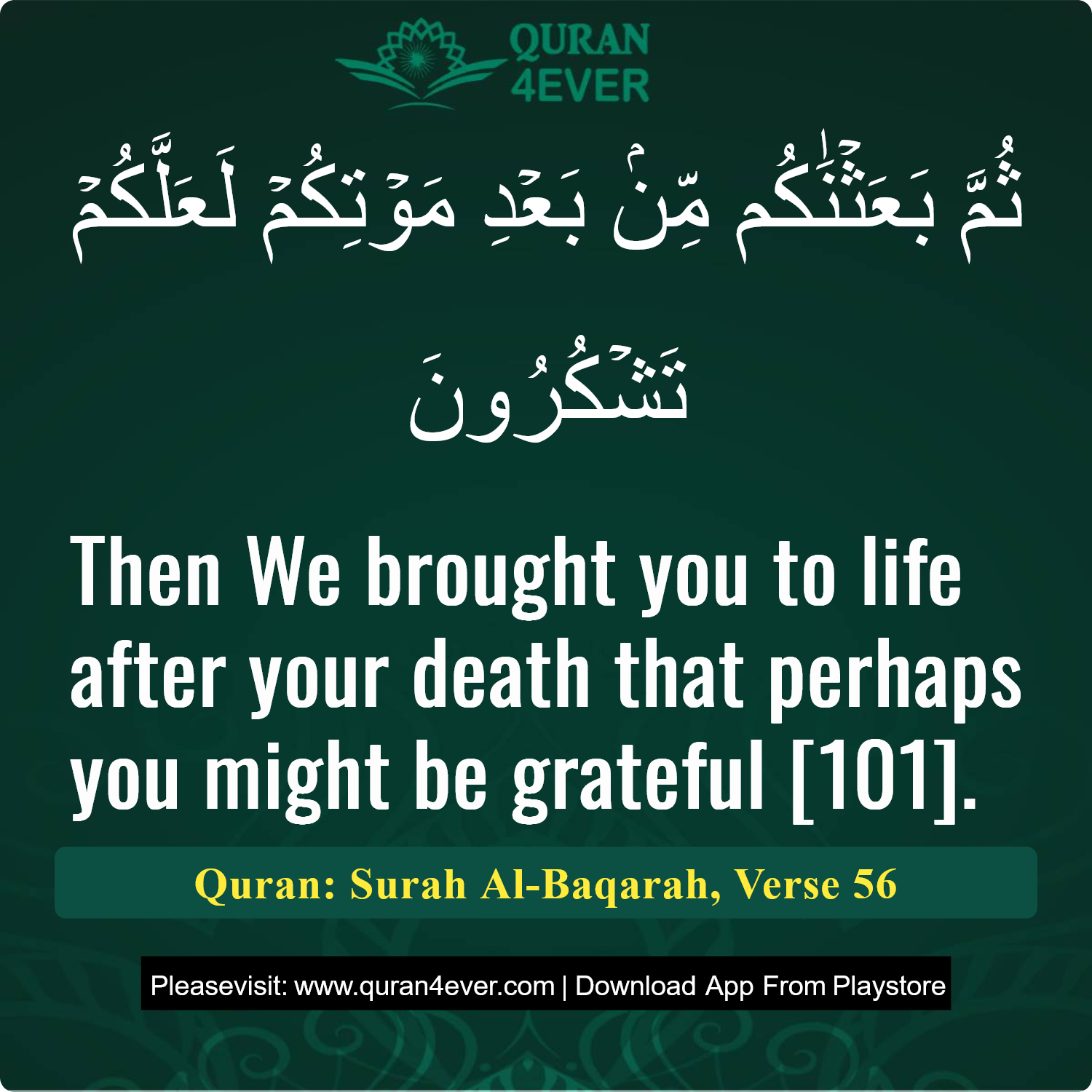 Surah 2, Ayah 56 - Quran Image