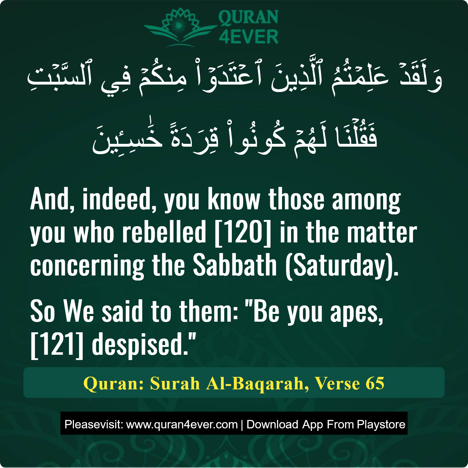 Surah 2, Ayah 65 - Quran Image