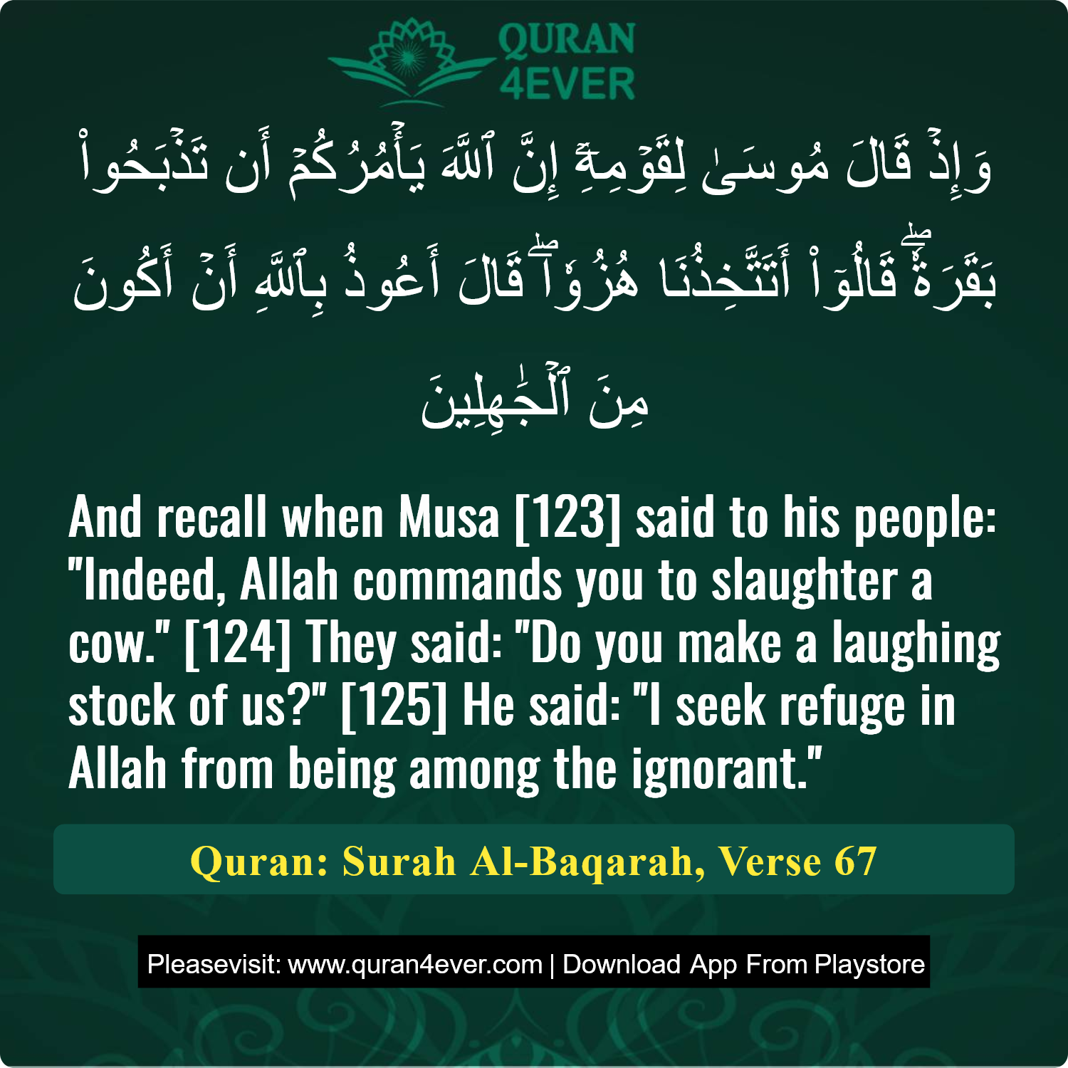 Surah 2, Ayah 67 - Quran Image