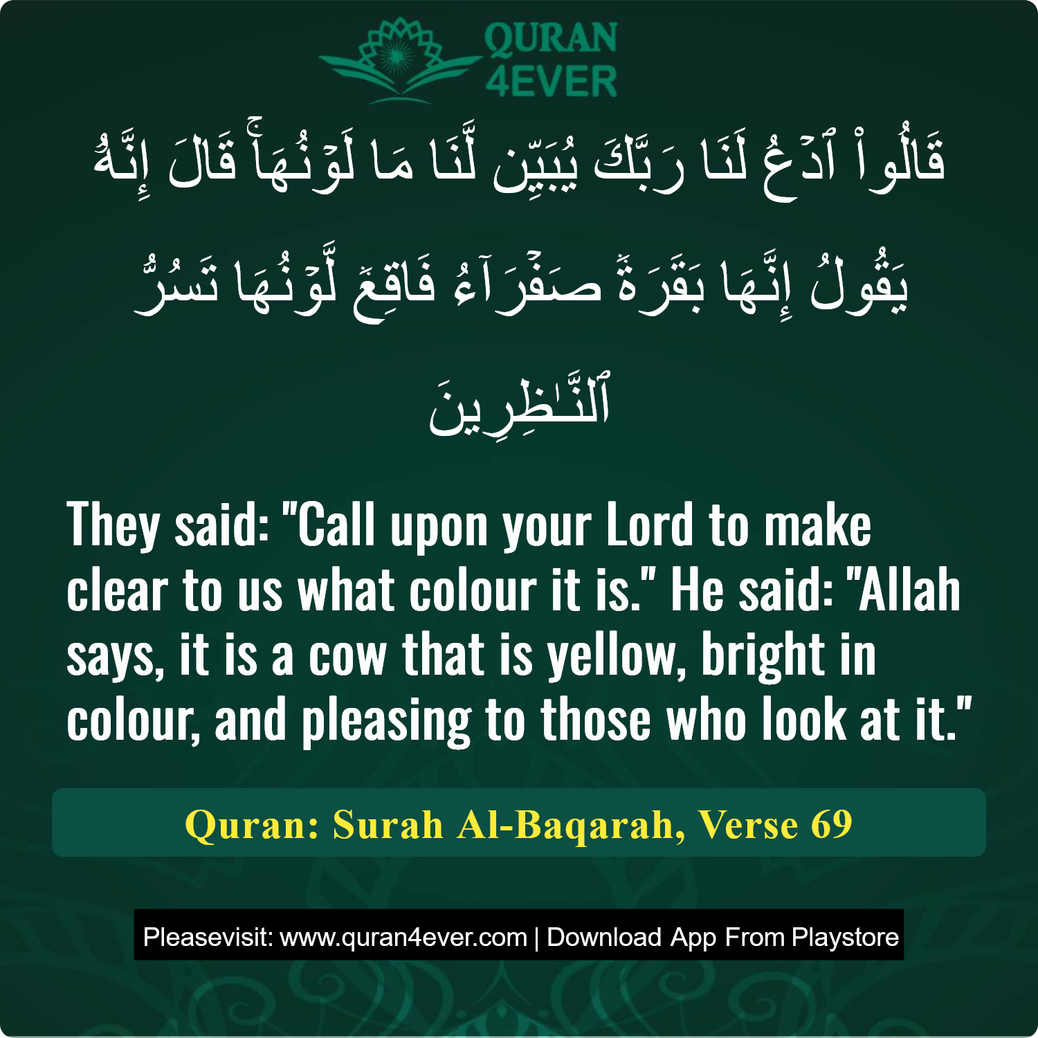 Surah 2, Ayah 69 - Quran Image