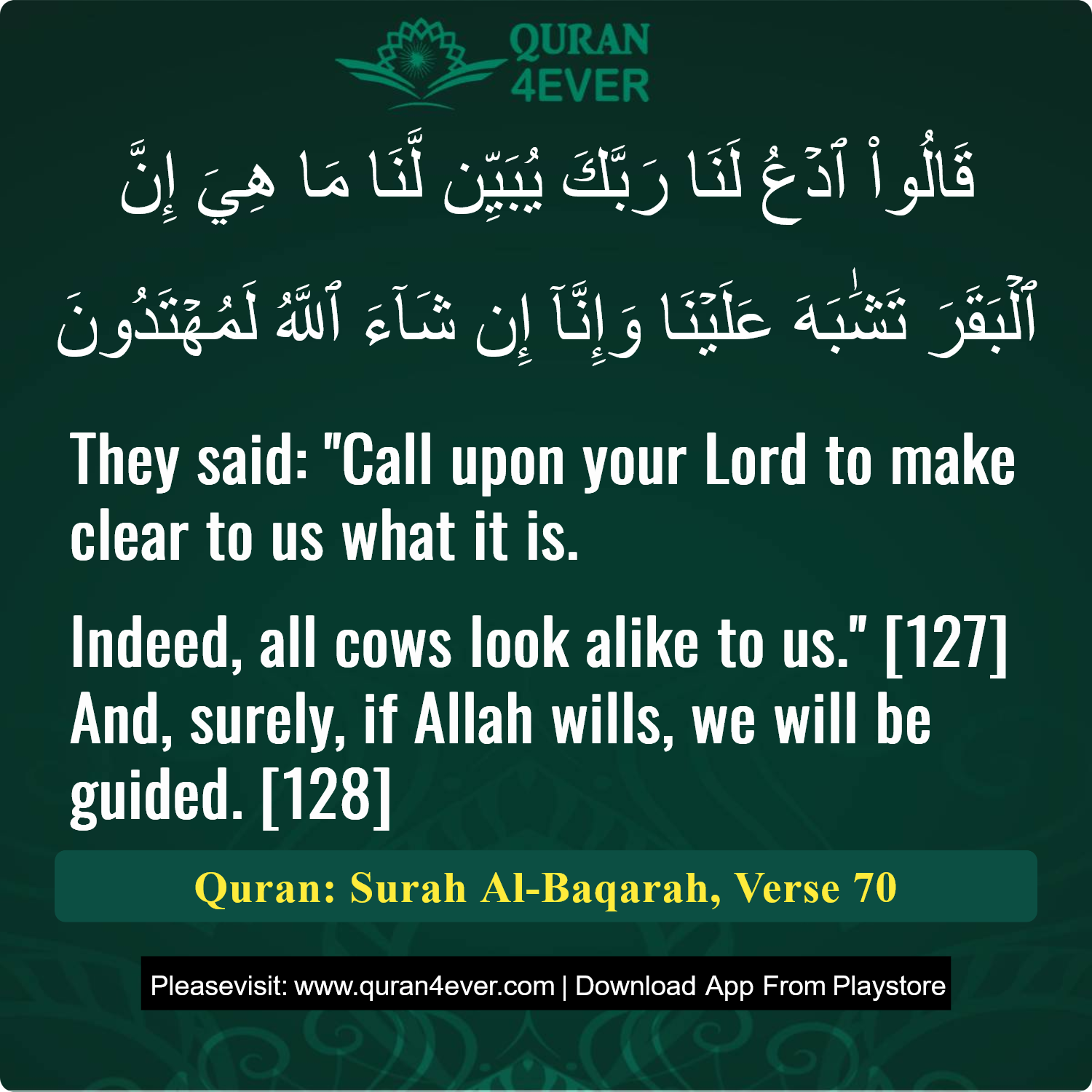 Surah 2, Ayah 70 - Quran Image