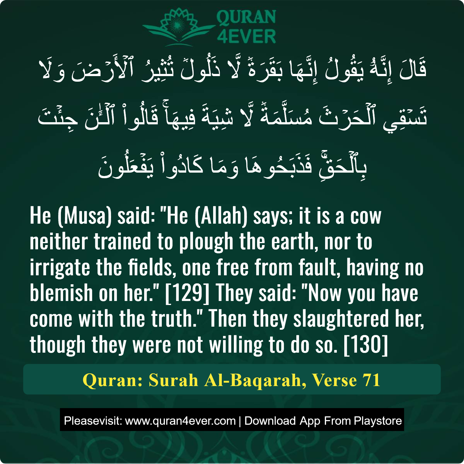 Surah 2, Ayah 71 - Quran Image