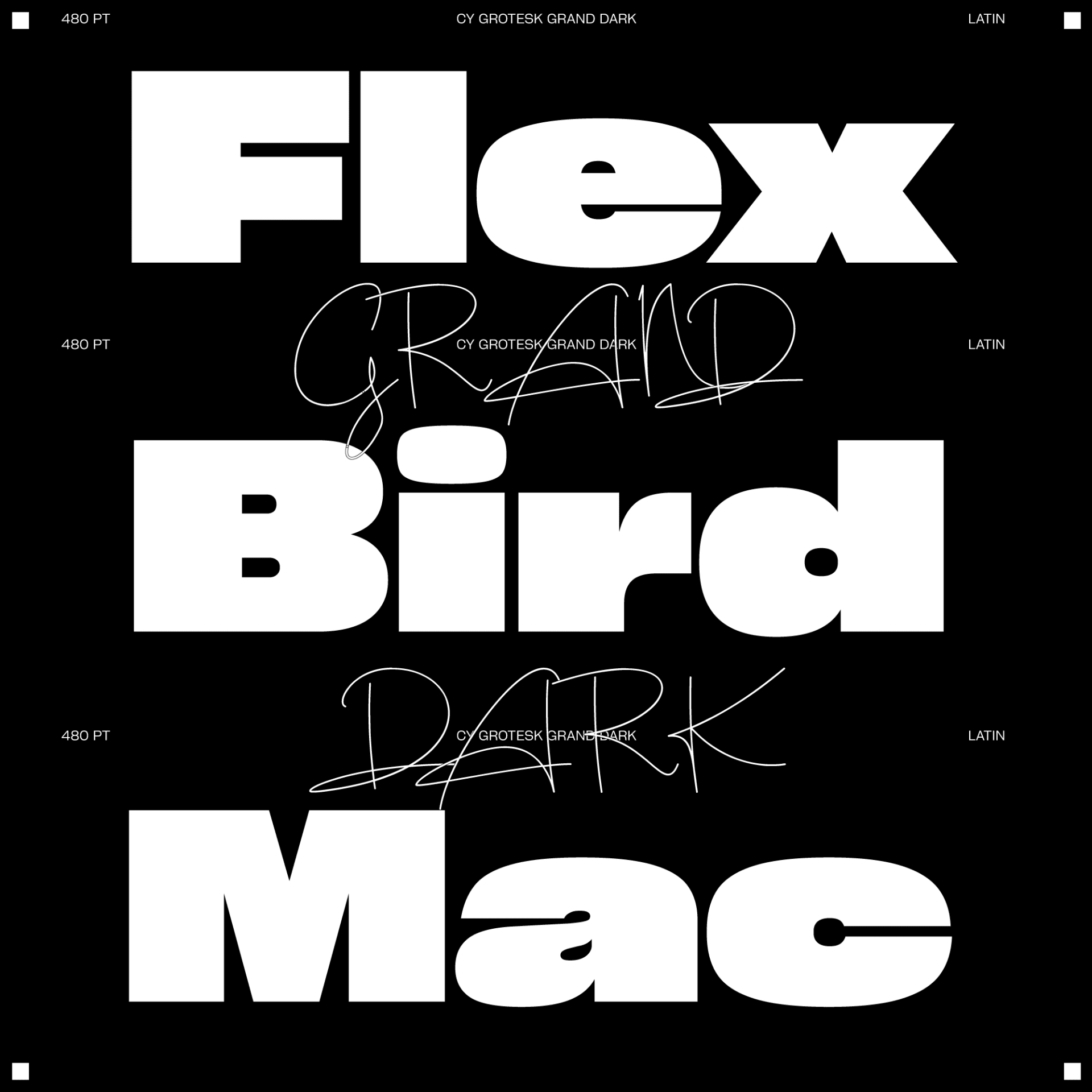 CY Grotesk STD - Image 2