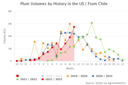 Chilean Fresh Plum Market to the United States Reopens under