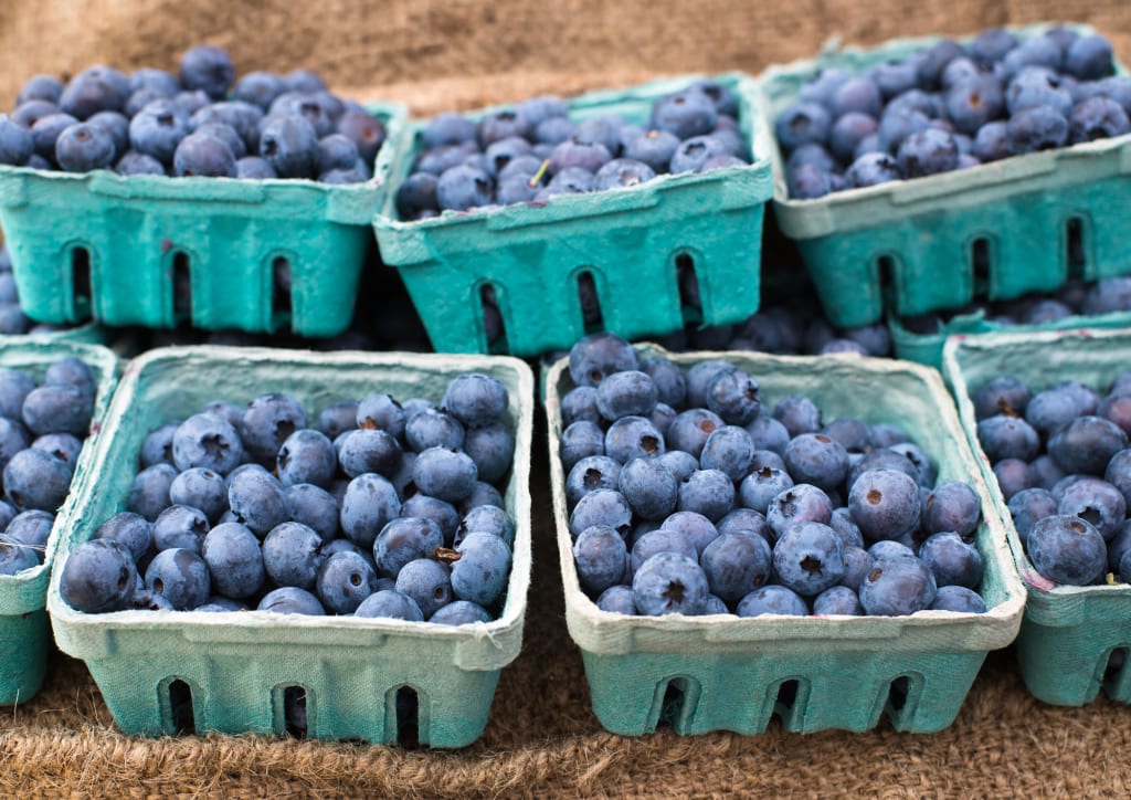 Promotable Latin American blueberry volumes en route to U.S