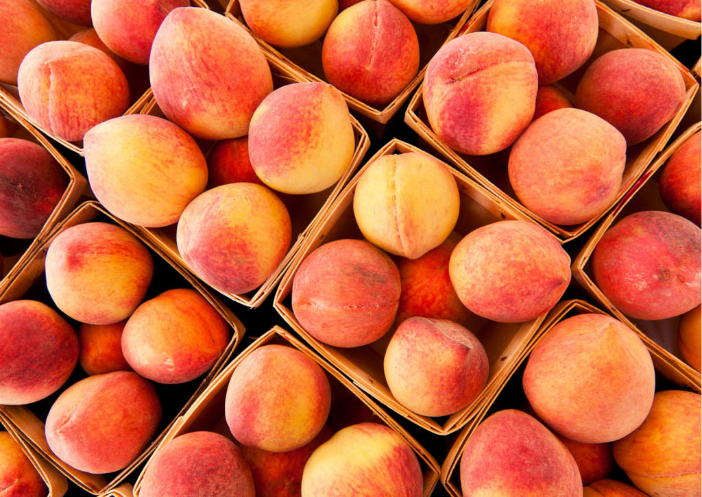New Jersey peach crop coming on in early July Agronometrics Stories