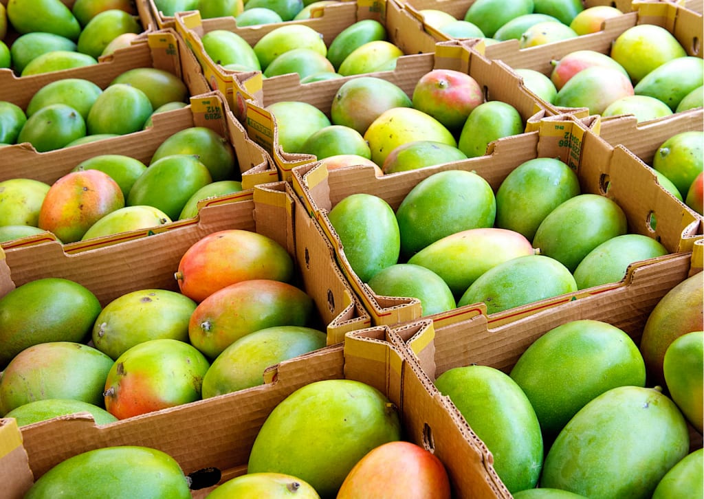 Agronometrics in Charts Peruvian Mangoes Set Out to Capture Diverse