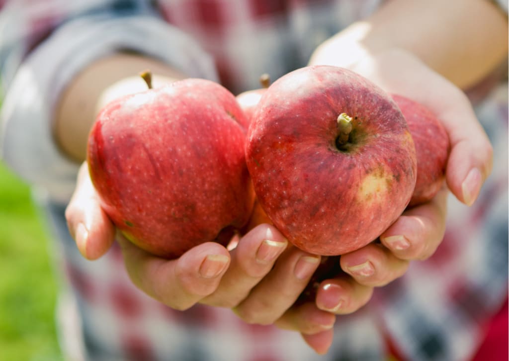 Starr Ranch Growers Pink Lady Organic Apples - Pink Lady Apple