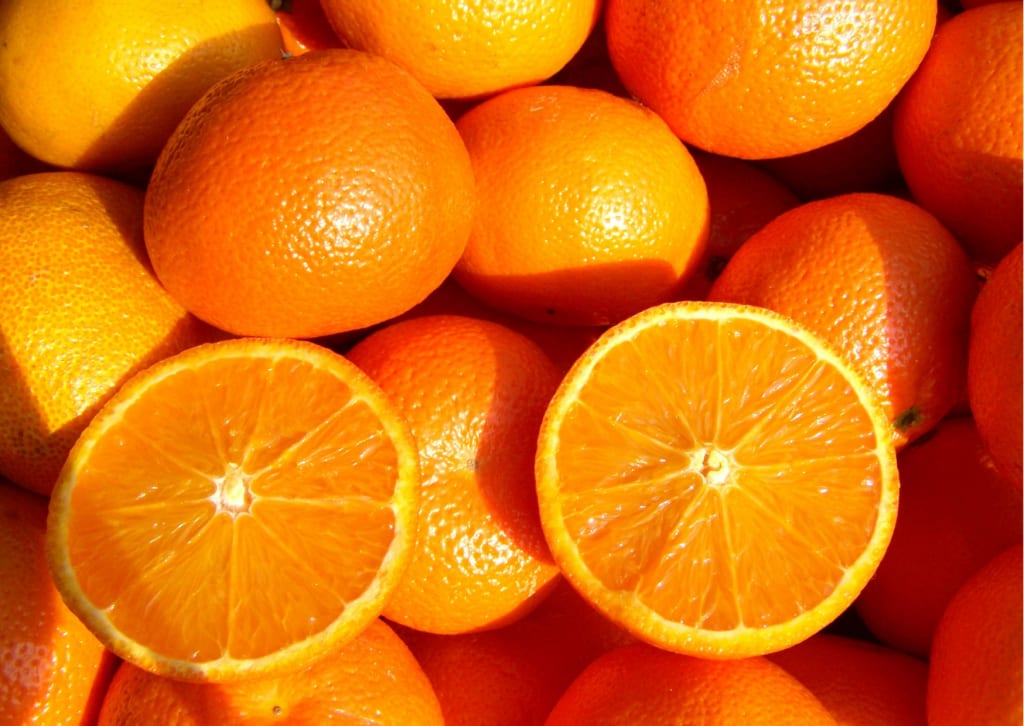 USDA changes Florida citrus production projections in December Forecast