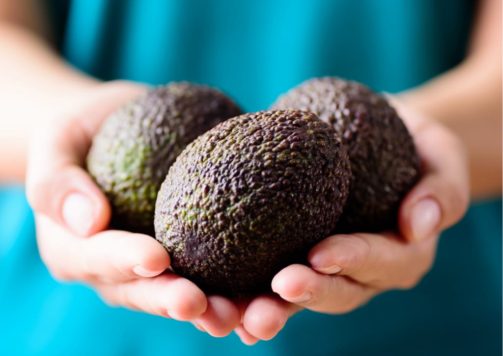 Agronometrics in Charts: Hass avocados see firm prices in U.S.