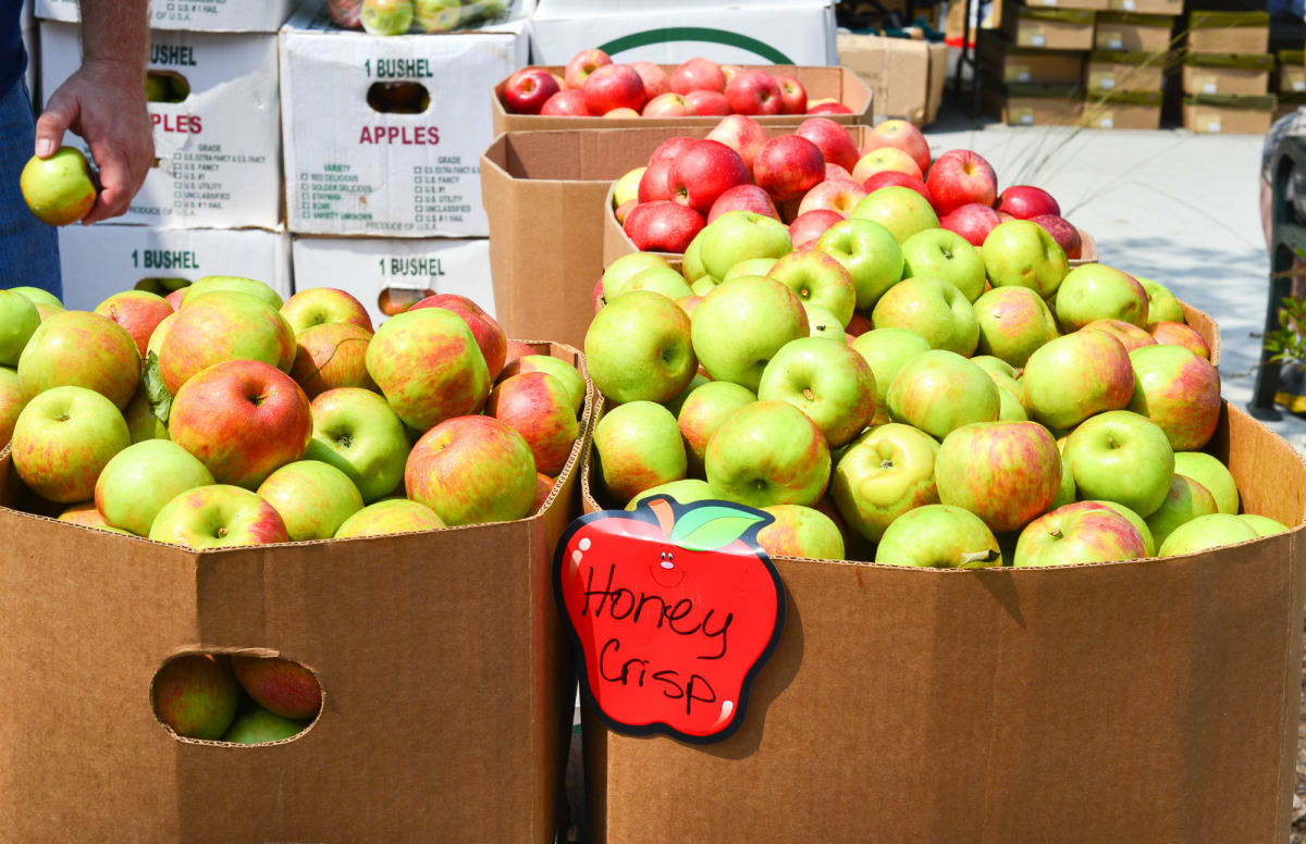 Honeycrisp  Applewood Fresh Growers LLC