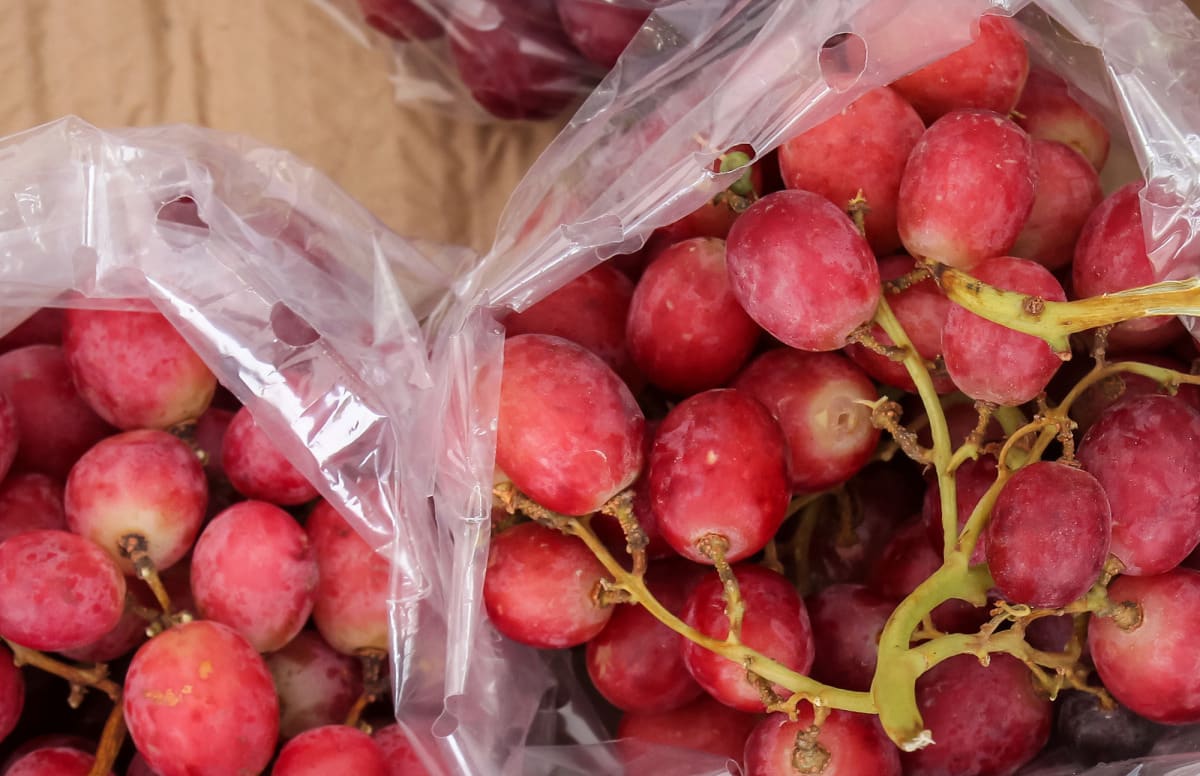 Delta Fresh enters Mexican table grapes Agronometrics Stories