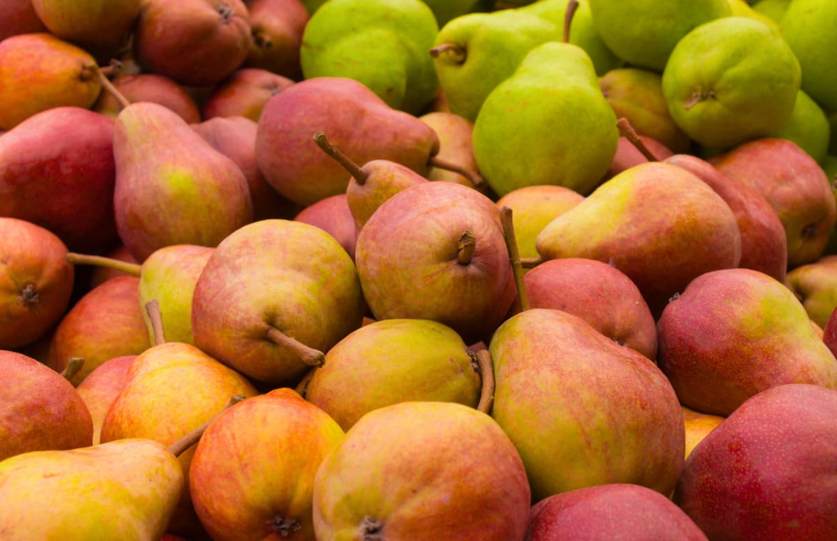 Fresh Organic Anjou Pears, 2 lb Bag 