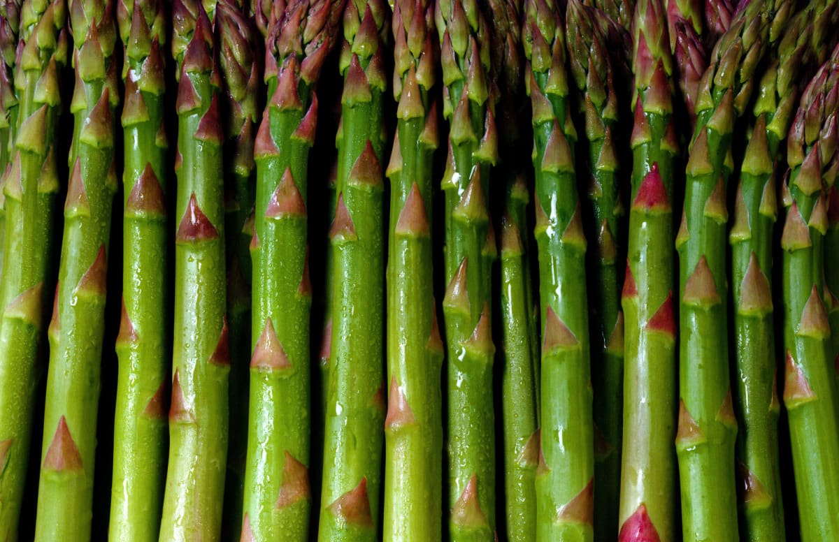 Michigan Asparagus teams with American Kitchen for cooking promotion -  Produce Blue Book