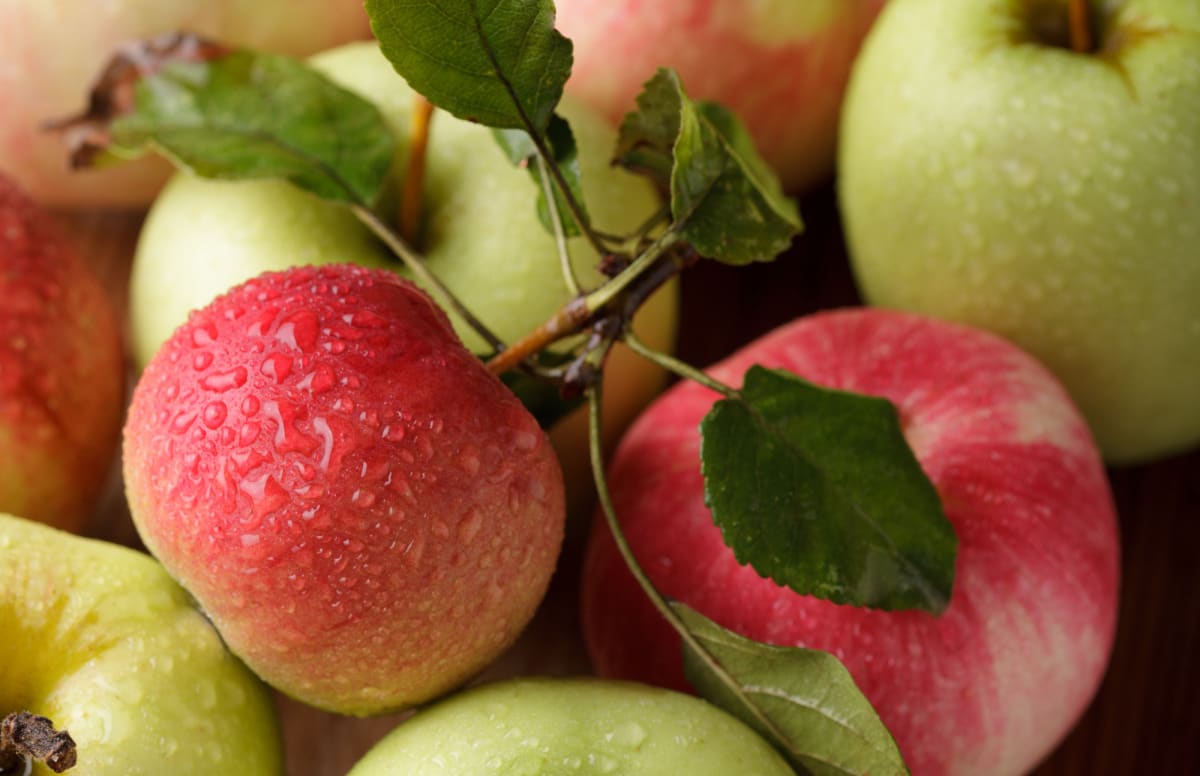 Granny Smith Apples - Organic Granny Smith Apples - Washington Fruit