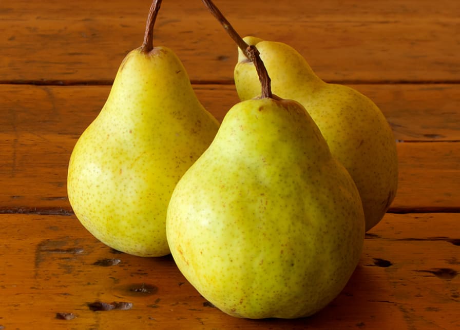 Bosc Pears - Organic Bosc Pears - Washington Pear Growers