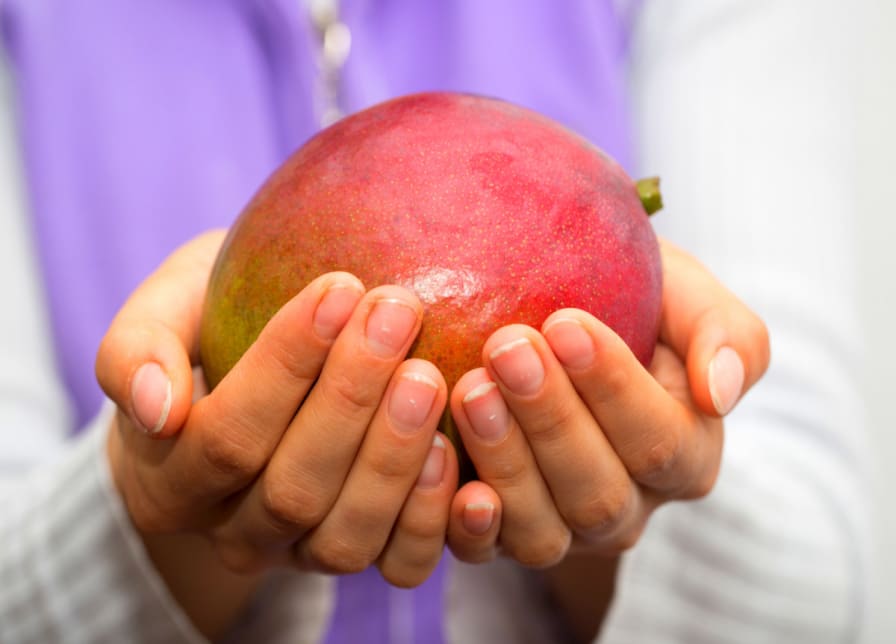 Fresh Large Mango