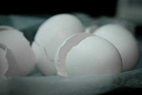 46/365 - In One Basket