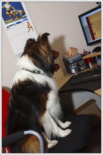 16/365 - Scouting Out The Internet