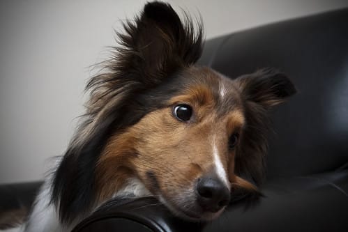 7/365 - Scouting Ahead