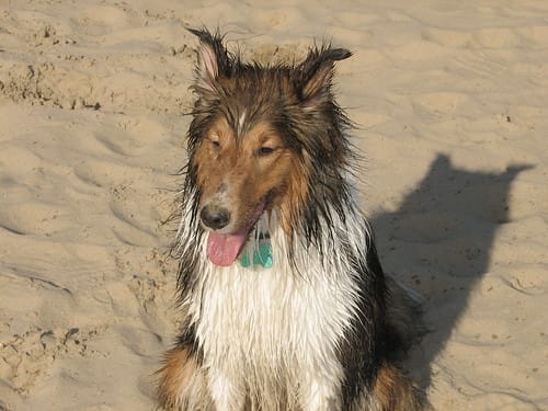 A Hot Mess (by Matt Stratton) A Hot Mess (by Matt Stratton)