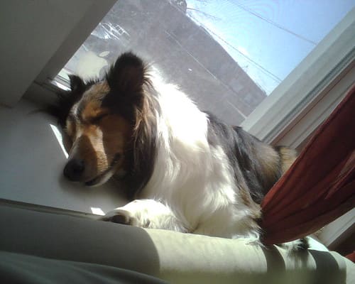 Sunbeam Scout (by Matt Stratton) Sunbeam Scout (by Matt Stratton)