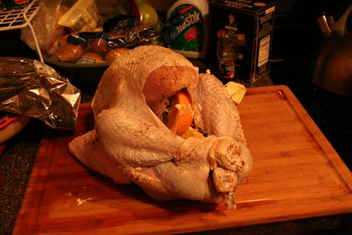 Da Boid (by Matt Stratton) Da Boid (by Matt Stratton)