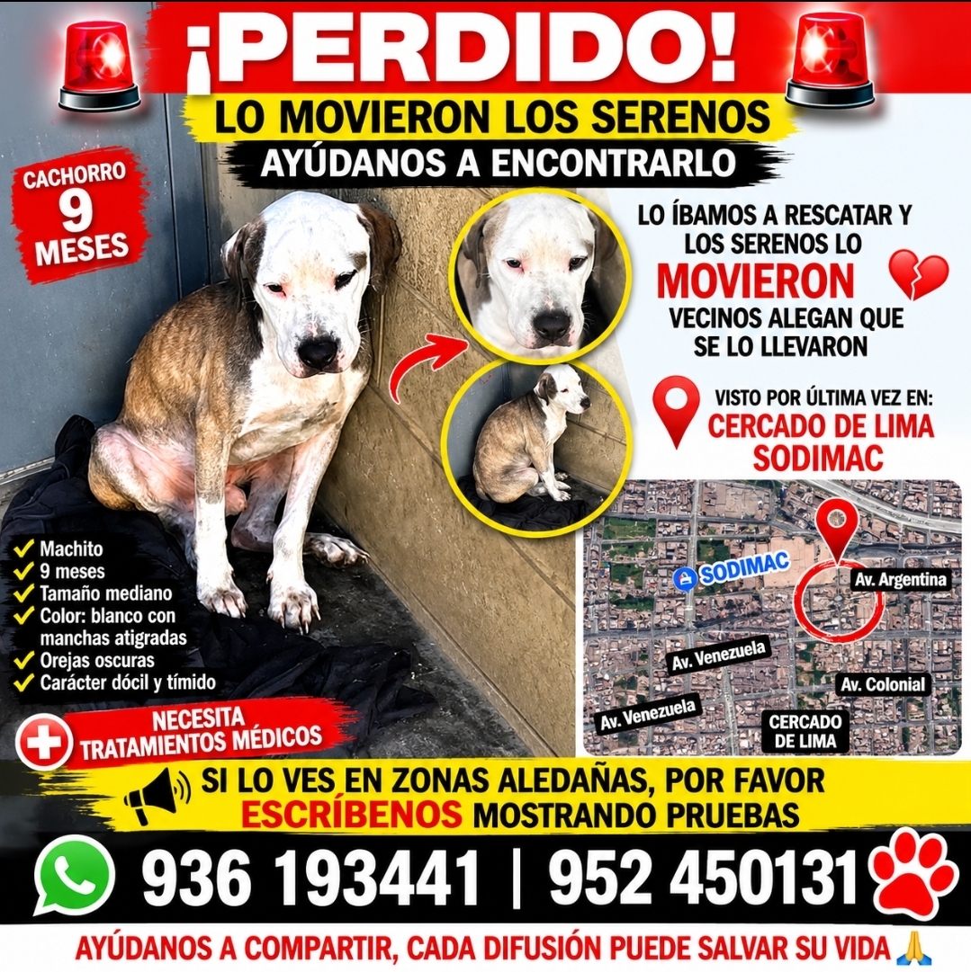 PERDIDO - LO MOVIERON LOS SERENOS