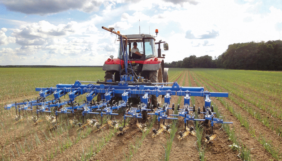 Fenaco gründet neue ITTöchter