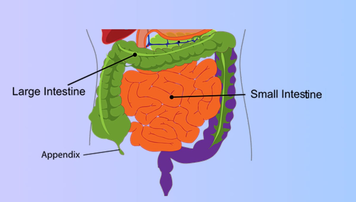 Doppelseitige Teppichaufkleber Auto - 30 Stück Anti-Rutsch Aufkleber Für Fußmatten