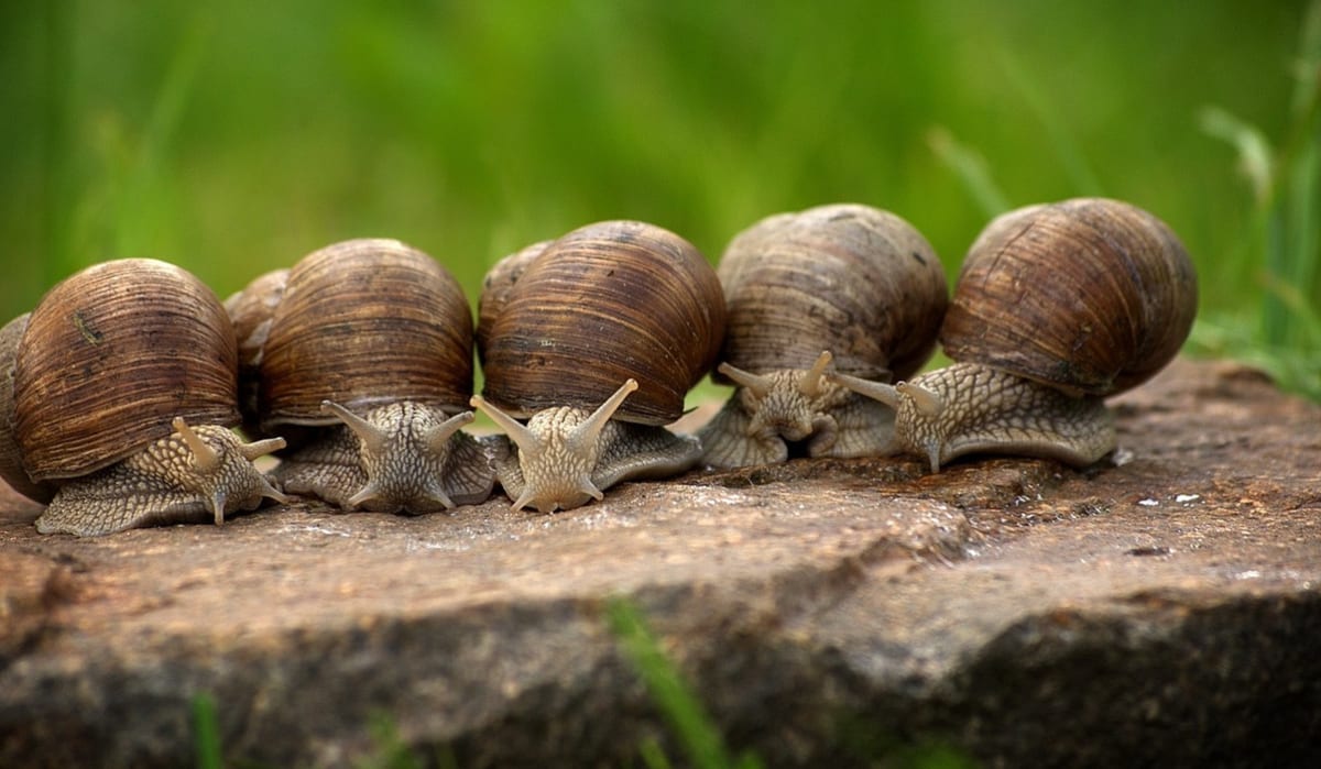 CEO-Umfrage zu Security: Lieber reagieren als agieren