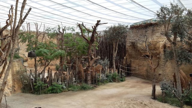 Les produits Holcim dans la savane de Lewa