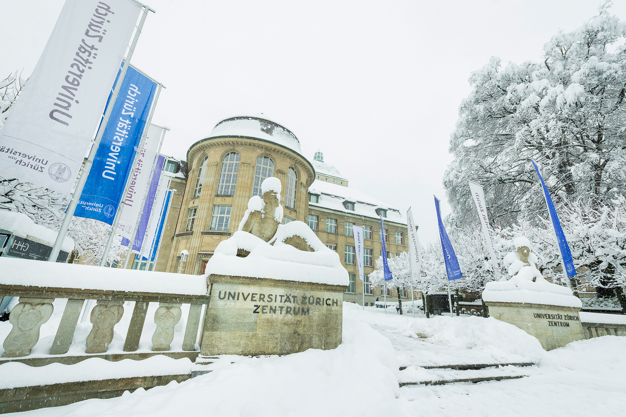 Die Universität Zürich schafft 7 neue Digital-Professuren