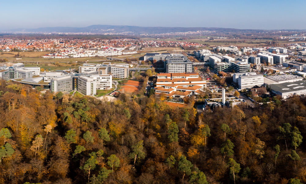SAP je znatno povečal dobiček, vendar ni zvišal letne napovedi