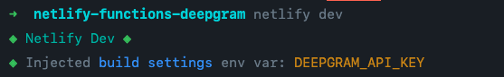 netlify dev being run, and then the log 'Injected build settings env var DEEPGRAM