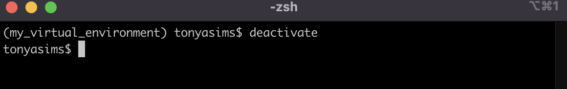 Python virtual environment deactivated