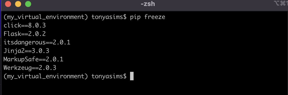 Python virtual environment pip freeze