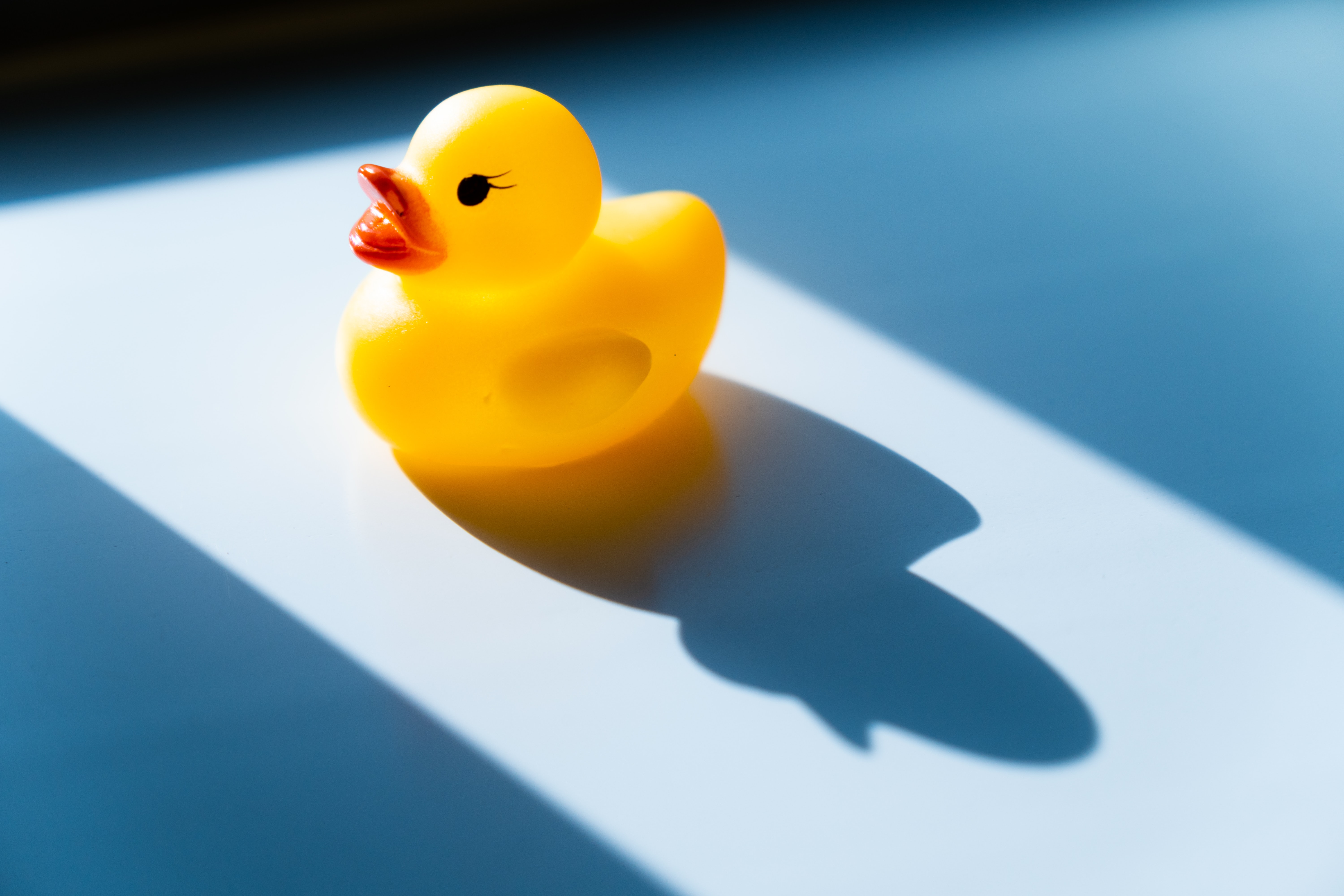 Image of a rubber duck