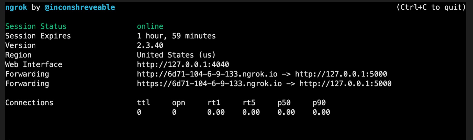 ngrok terminal with python flask