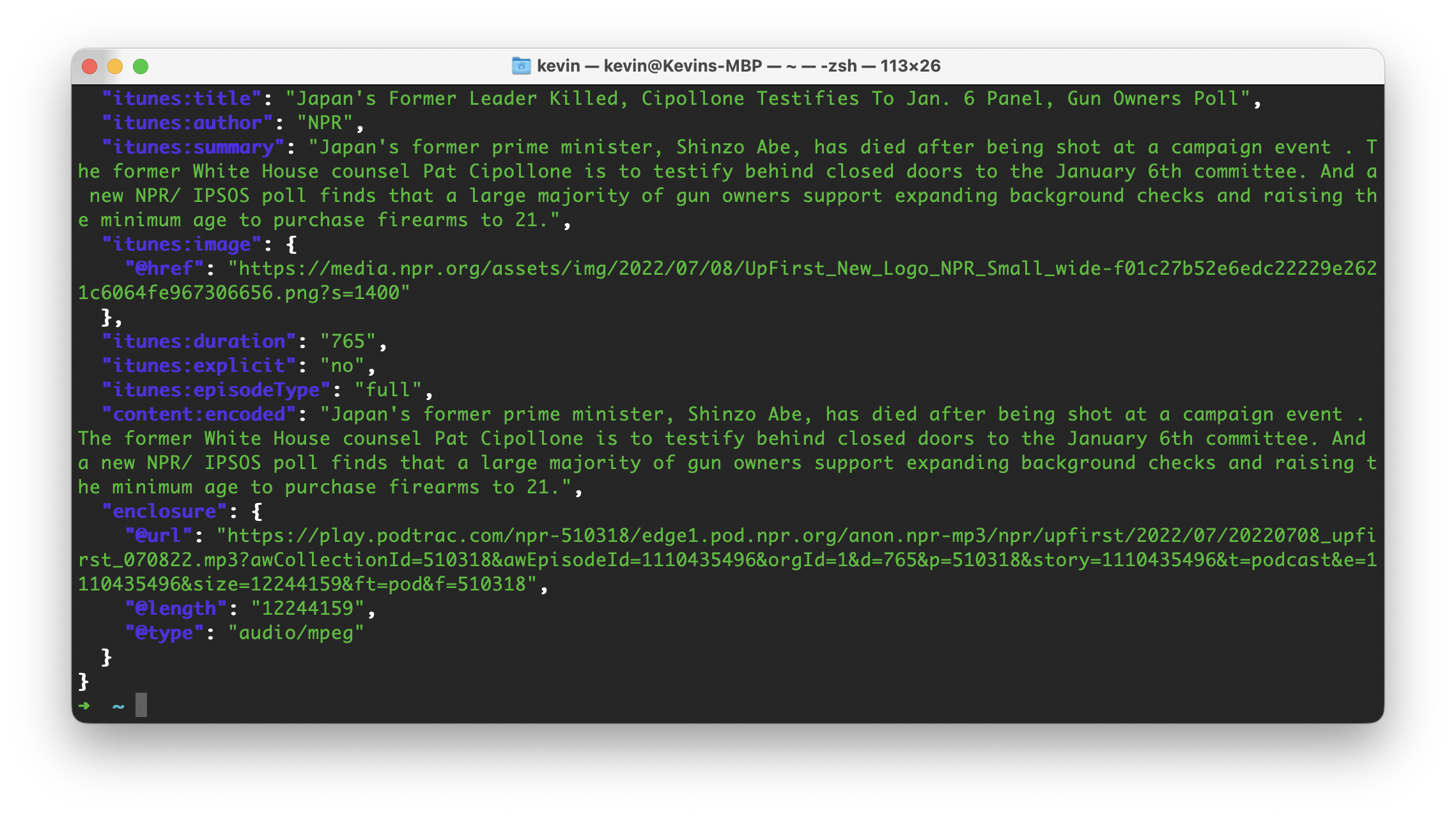 Terminal showing pretty-printed item data