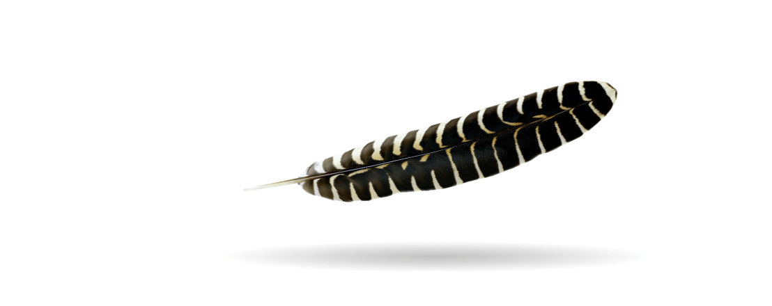 Blog title image for the blog post: Happy National Native American Heritage Month!
